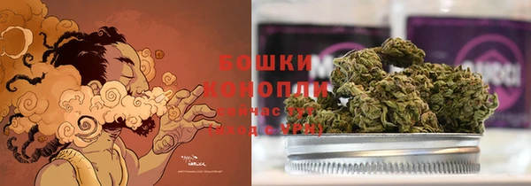 крисы Бородино