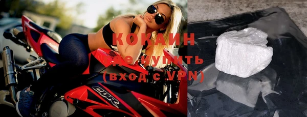 крисы Бородино