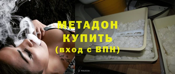 крисы Бородино