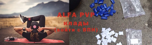 крисы Бородино