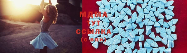 крисы Бородино