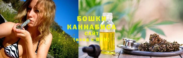 бошки Бронницы