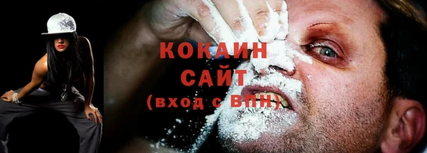 крисы Бородино