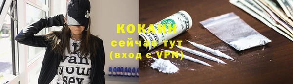 бошки Бронницы