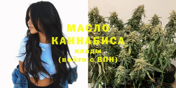 крисы Бородино