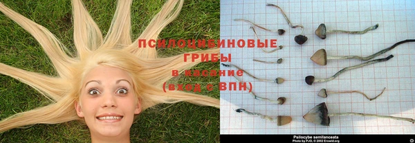 бошки Бронницы