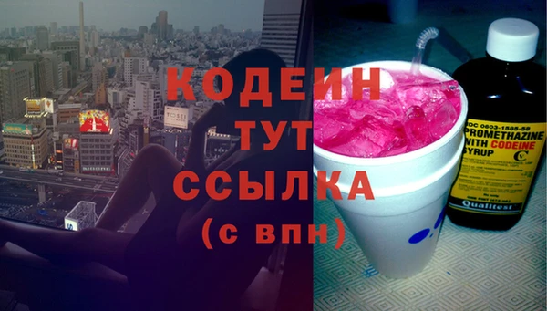 крисы Бородино