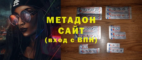 крисы Бородино