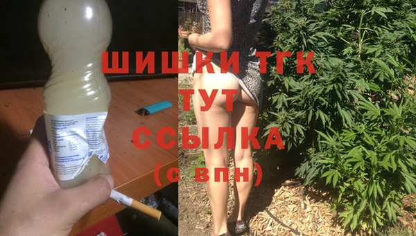 бошки Бронницы