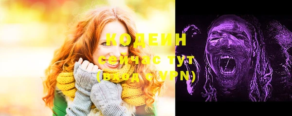 бошки Бронницы