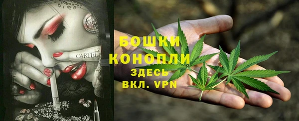 крисы Бородино