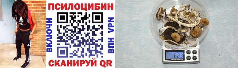 Псилоцибиновые грибы GOLDEN TEACHER Северодвинск
